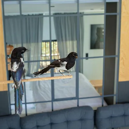 Float In Reeds And Enjoy Starlit Sky * Yderby