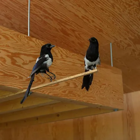 Дом отдыха Float In Reeds And Enjoy Starlit Sky