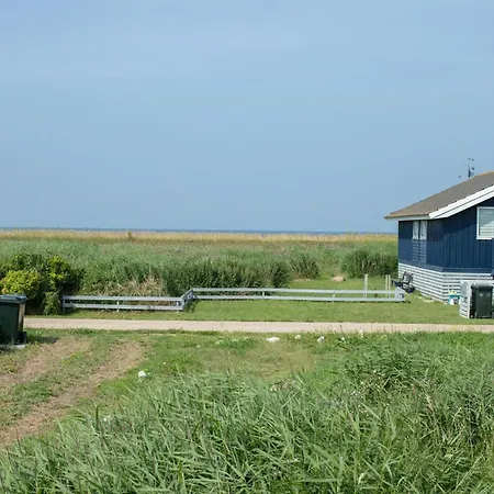 Float In Reeds And Enjoy Starlit Sky